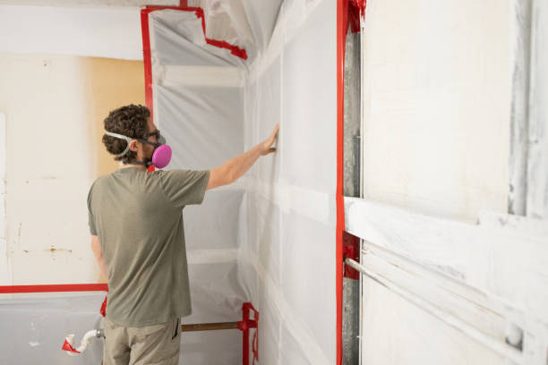 Best Mold Prevention Services  in Mante, CA