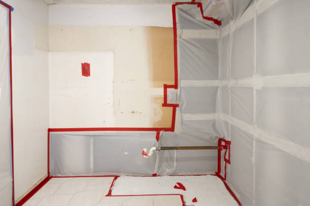  Mante, CA Mold Removal Pros