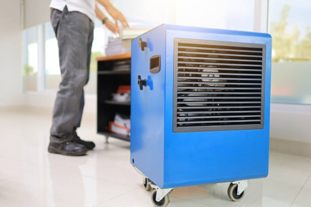 Best Indoor Air Quality Assessment  in Mante, CA