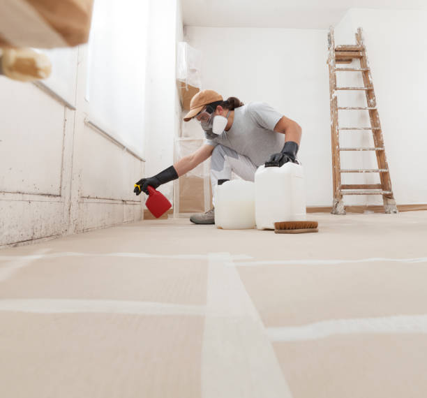 Best Dehumidification Services  in Mante, CA